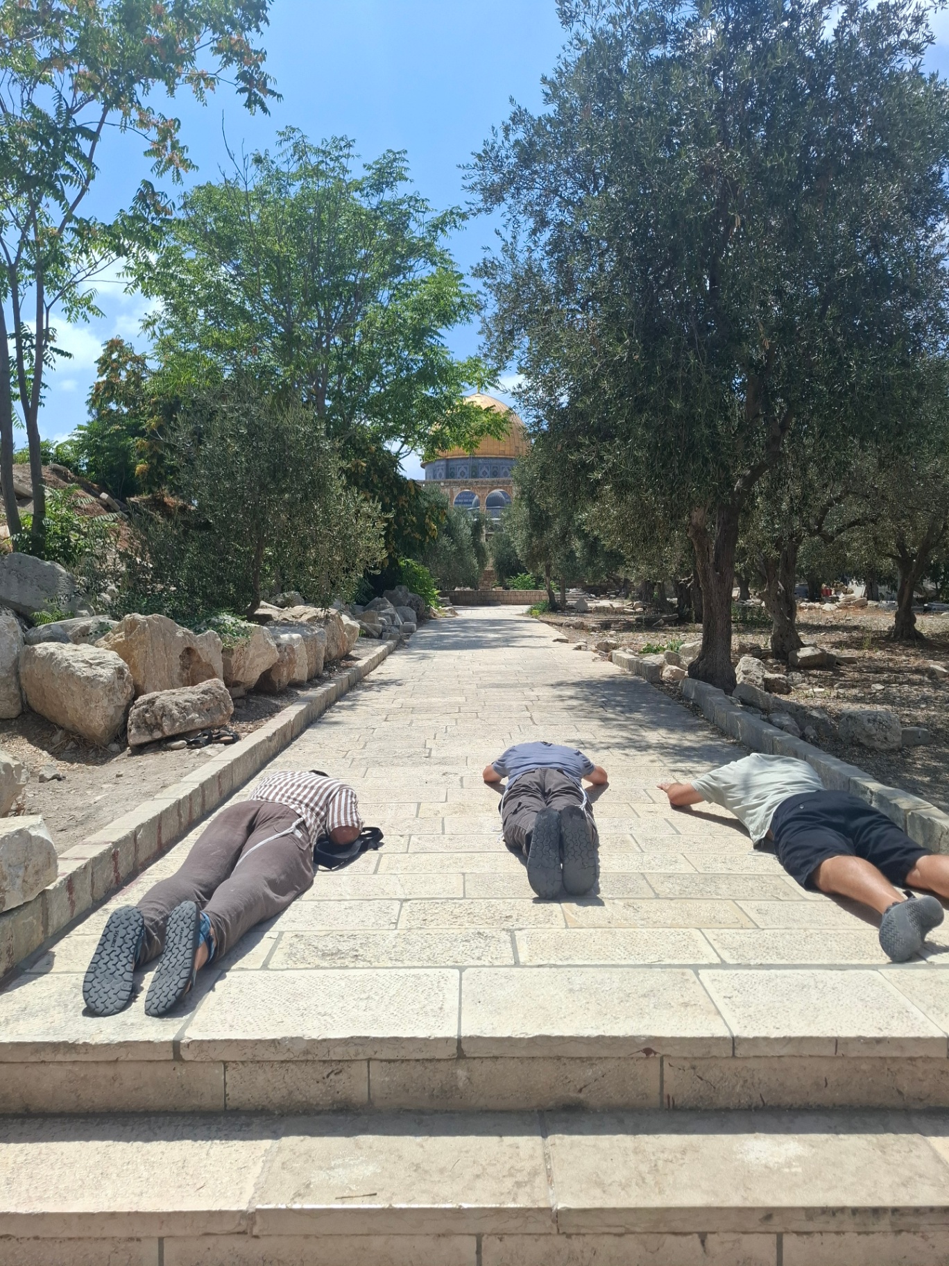 סיור בהר הבית